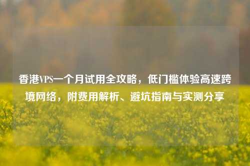 香港VPS一个月试用全攻略，低门槛体验高速跨境网络，附费用解析、避坑指南与实测分享