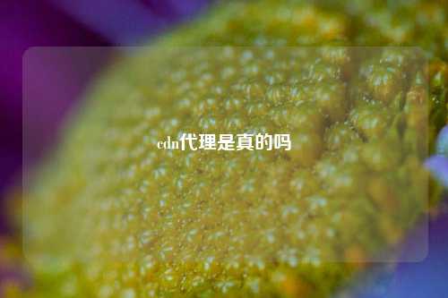 cdn代理是真的吗