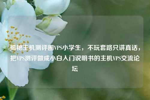 揭秘主机测评圈VPS小学生，不玩套路只讲真话，把VPS测评做成小白入门说明书的主机VPS交流论坛