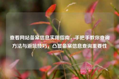 查看网站备案信息实用指南，手把手教你查询方法与避坑技巧，凸显备案信息查询重要性