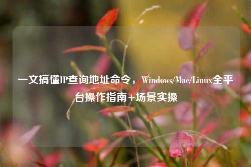 一文搞懂IP查询地址命令，Windows/Mac/Linux全平台操作指南+场景实操