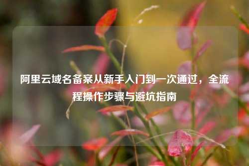 阿里云域名备案从新手入门到一次通过，全流程操作步骤与避坑指南